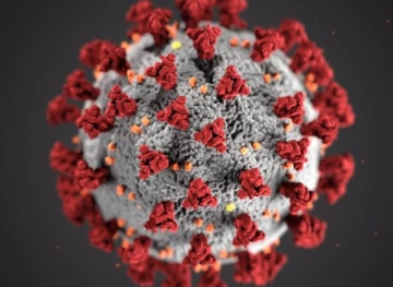 The latest development of the new Corona virus outbreak in the world