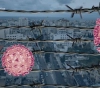 Human rights bodies call on the international community to intervene to save life in Gaza
