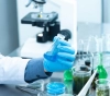 Gaza: 69 new cases of Coronavirus were recorded