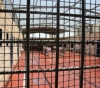 17 prisoners are infected with Coronavirus