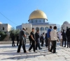 More than fifty settlers storm Al-Aqsa