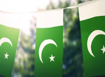 Pakistan confirms its position on the Palestinian issue