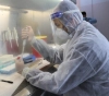 Gaza health warns of running out of corona tests