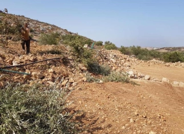Clashes in Kafr Qaddum and uprooting of 200 olive trees in Bidya