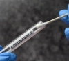 An urgent call to provide Gaza with COVID-19 testing equipment and swabs