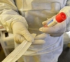 Health: The available stock of medical surveys is sufficient for 10 days only