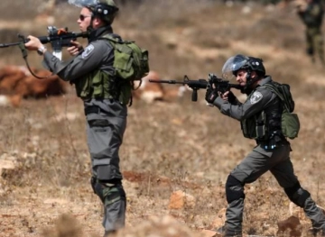 A boy was critically injured in Surif and dozens of people suffocated in Beit Ummar