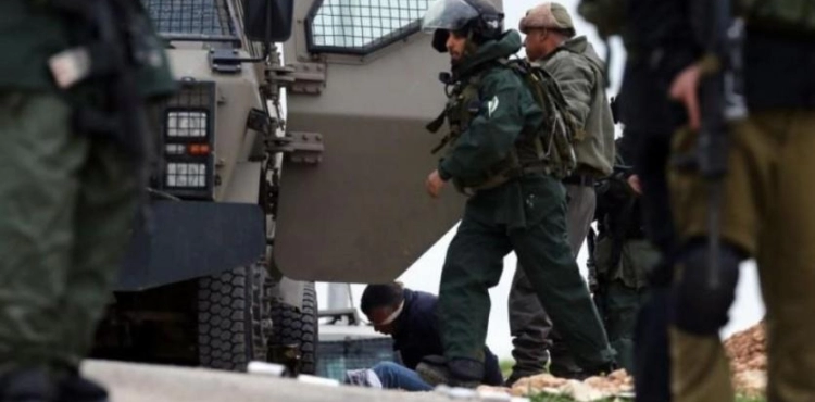 Israeli forces arrest 11 Palestinians in West Bank