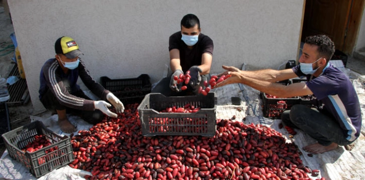 Gaza Health: We are still in the containment phase of the Corona virus