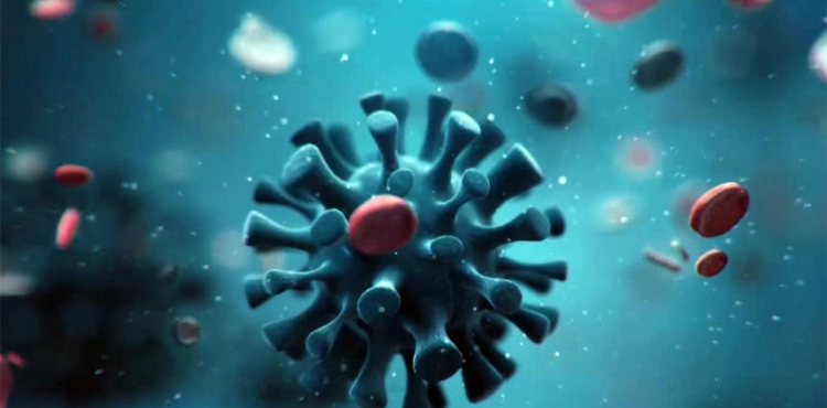 9 deaths, 498 new cases of corona, and 766 recoveries during the past 24 hours