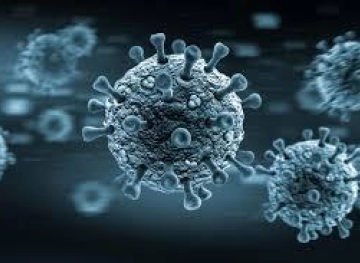 The latest developments in the spread of the new Corona virus in the world
