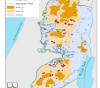 ARIJ Institute: Israel is using its racist laws to attack the olive season