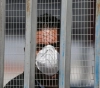81 new cases of corona in Gaza