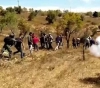 Injuries and suffocation cases due to the occupation&acute;s suppression of an olive harvest activity in Barqa