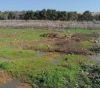 Settlers pump wastewater towards Palestinian lands, north of Nablus