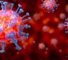 6 New infections of covidÂ´19 among the Palestinian communities