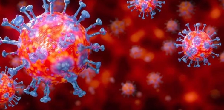 6 New infections of covidÂ´19 among the Palestinian communities
