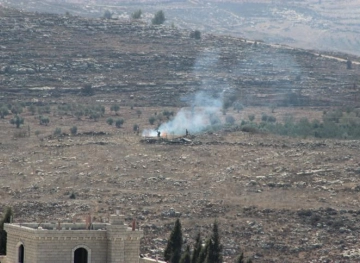 Settlers cut down old olive trees in Jalud