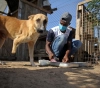 Gaza: 152 New infections of Coronavirus were recorded