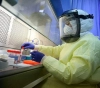 99 New infections of coronavirus among the Palestinian communities