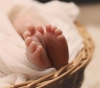 Last October, the Gaza Strip recorded 3560 births and 209 deaths