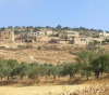 Demolishing lands to expand an outpost south of Nablus