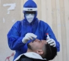Palestine:9 deaths, 1,251 new injuries, and 1159 recoveries