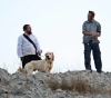 Settlers kidnap a boy east of Nablus