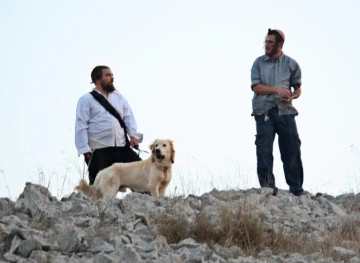 Settlers kidnap a boy east of Nablus