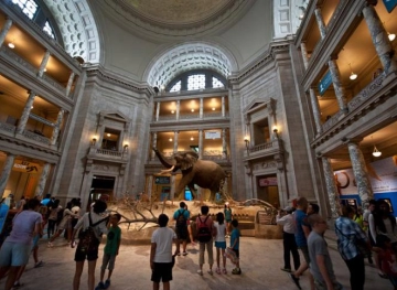 Washington museums re-close their doors as the number of COVID-19 cases returns