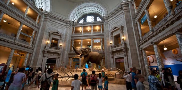 Washington museums re-close their doors as the number of COVID-19 cases returns