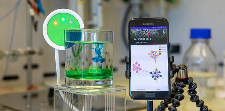 An infinitesimal robot that can remove hormonal contaminants from liquids