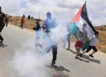 Dozens were injured in clashes with the occupation army in the Jordan Valley