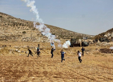 The occupation forces suppress an activity to cultivate Beit Dajan lands