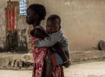 World Health Organization: 172 yellow fever deaths in Nigeria