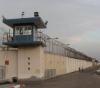 Center: 4 martyrs from the captive movement this year