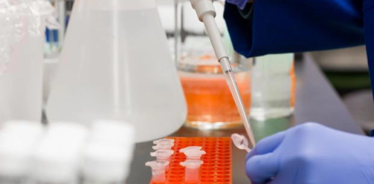 Provision of laboratory materials to Gaza and the death of a citizen to whom the virus has returned