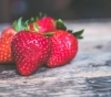 The occupation continues to pursue the strawberries of Gaza