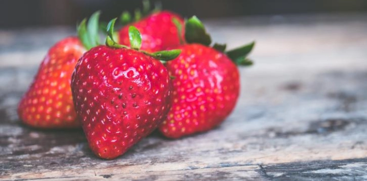 The occupation continues to pursue the strawberries of Gaza