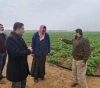 Gaza agriculture: the occupation targets our crews