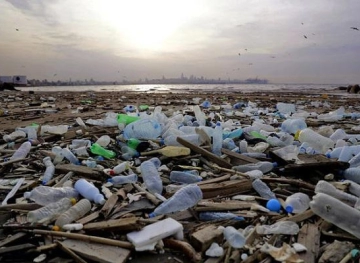 The European Union bans exports of plastic waste to poor countries