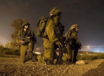 The occupation shot a young man and arrested him, east of Hebron