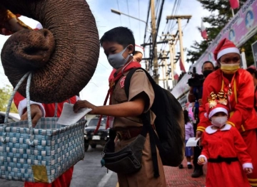 Elephants in Santa Claus uniform distribute masks at a Thai school