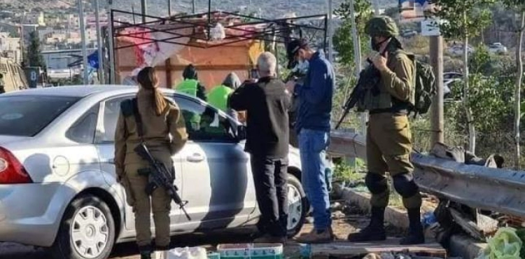 The occupation uproots 350 olive trees and demolishes the properties of citizens