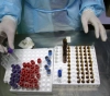 19 deaths and 1,149 new cases of corona