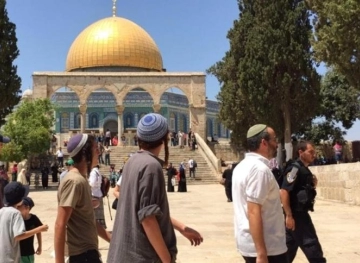 36 settlers led by Vernin storm Al-Aqsa despite the closure
