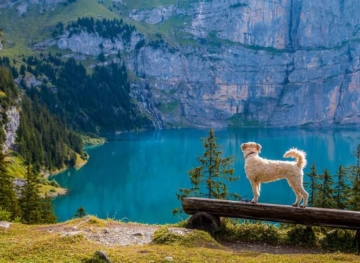 Learn about the three most stunning lakes in Switzerland