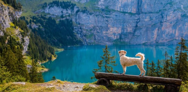 Learn about the three most stunning lakes in Switzerland