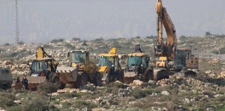 Land leveling and uprooting of 2,500 olive seedlings in Deir Ballut and 150 in Jalud