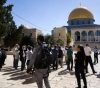 Settler &quot;Temple Groups&quot; storm &quot;Al Aqsa&quot; and organize biblical prayers